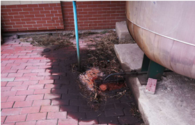 客戶安裝油氣分離器后反映油分跑油，應該怎么辦